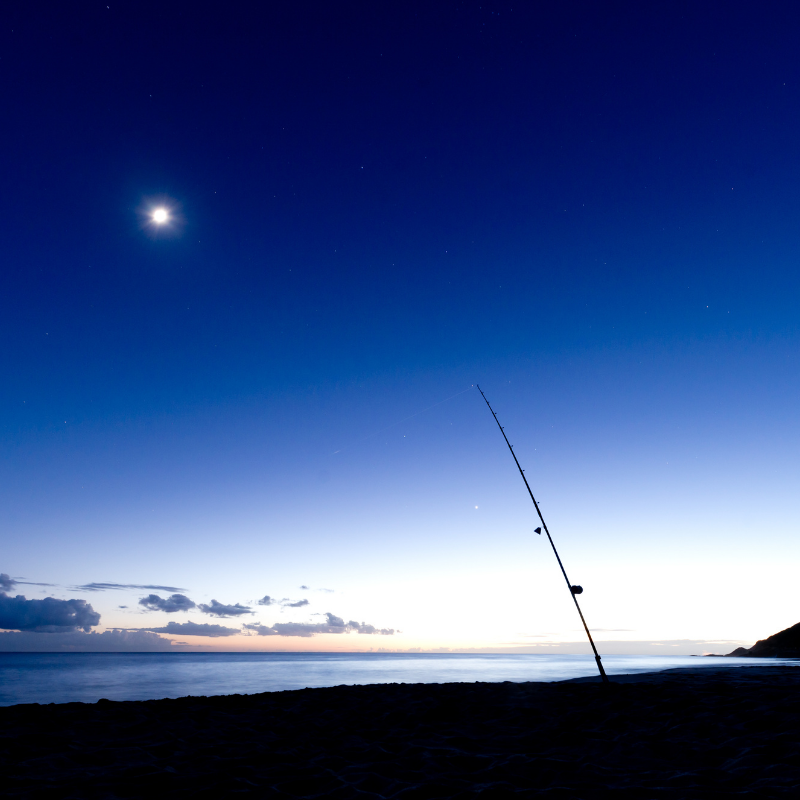 night fishing