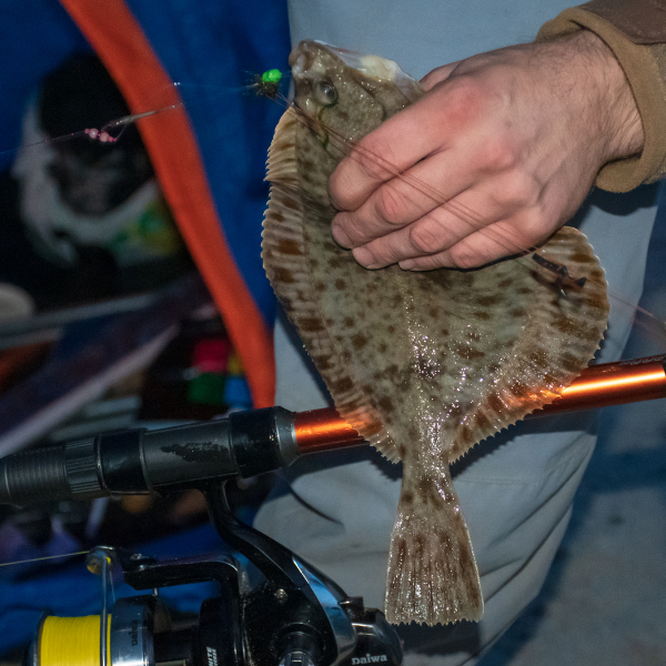 flounder fishing