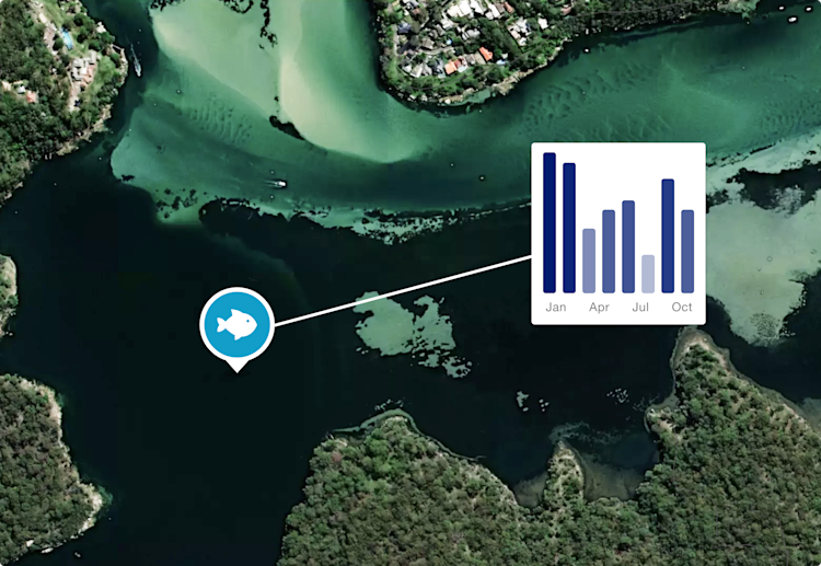 Chart showing fishing activity data on a waterway