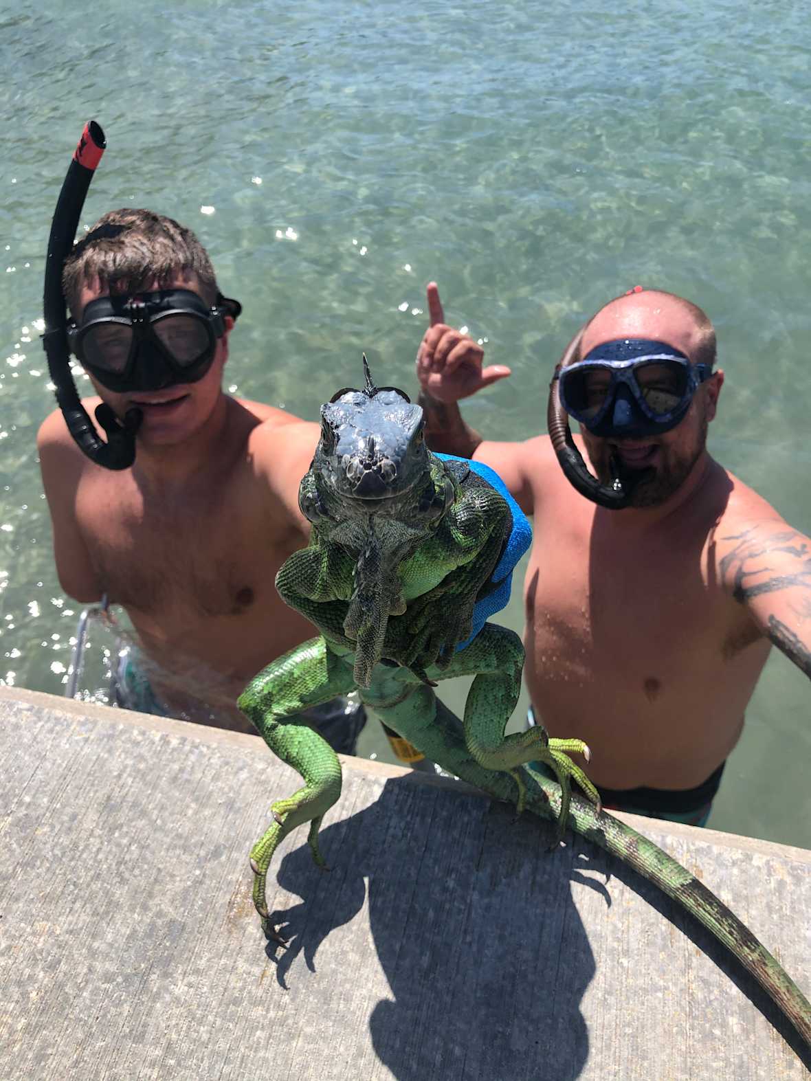 Carter Viss diving with Andy