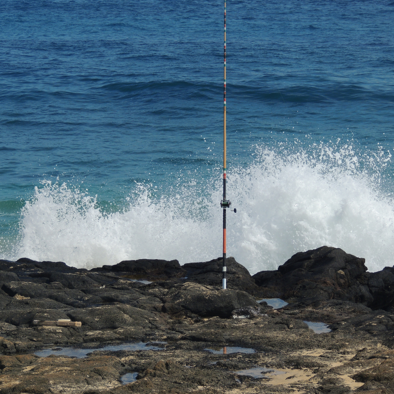 rock fishing