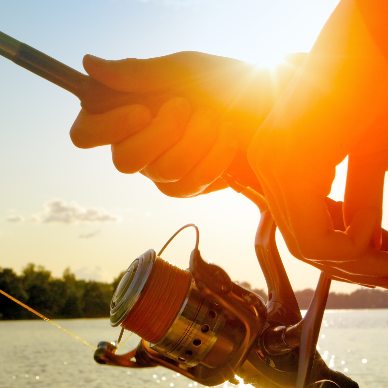 How to find fish without a fish finder