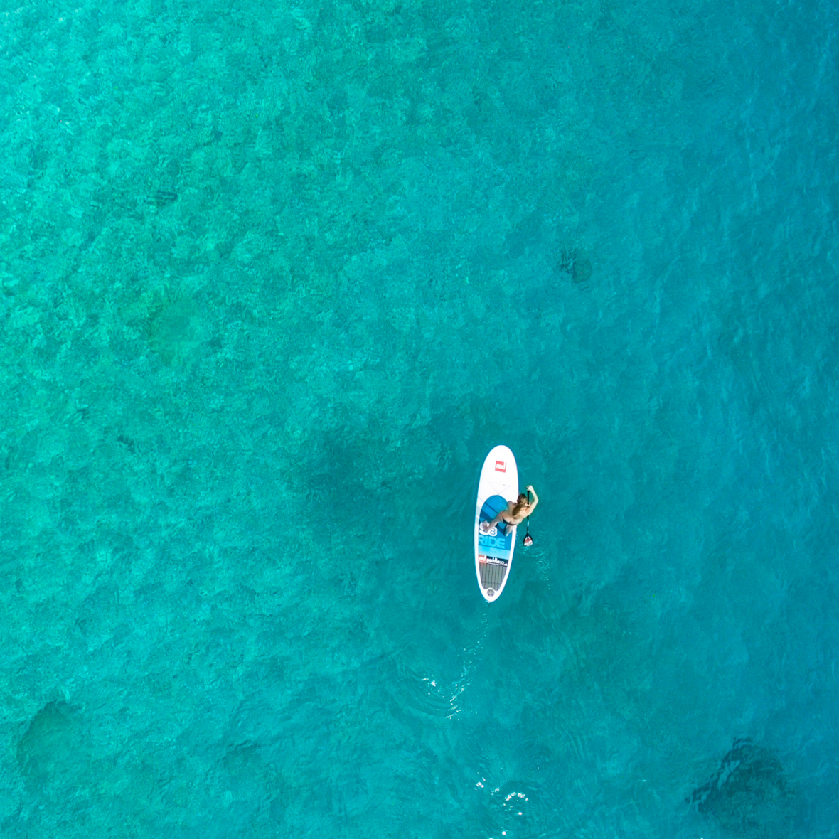 Stand up paddle boarding: The basics