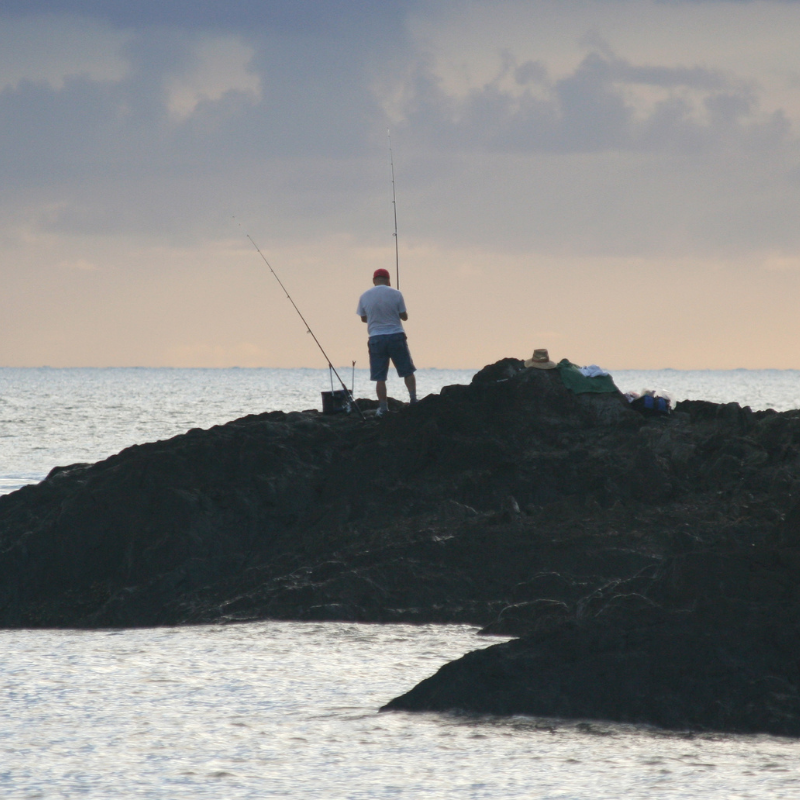Rock fishing basics