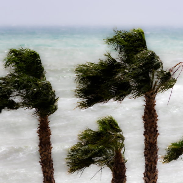 What is a marine wind warning?