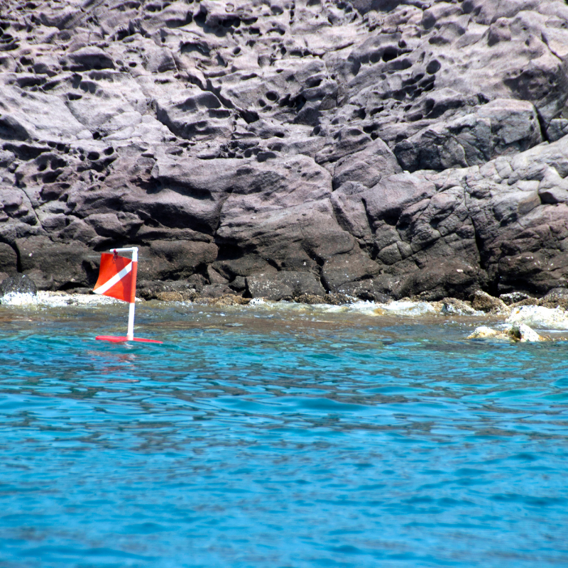 swimming safety