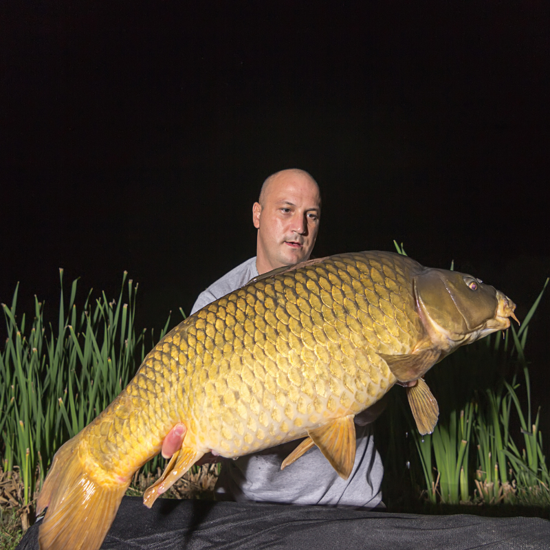 Night fishing tips from two pros