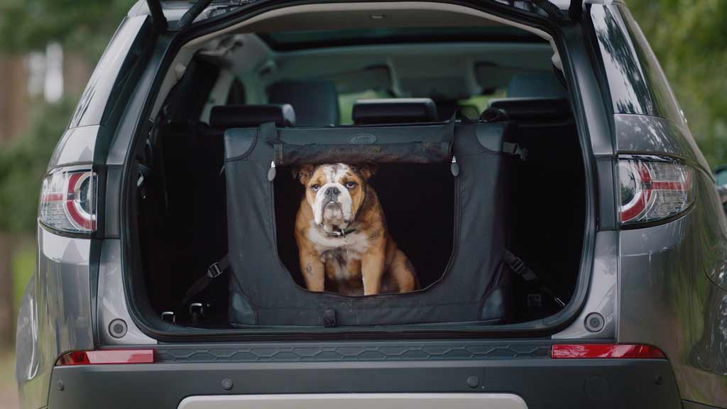 Land Rover Pet Accessories Harwoods Group Harwoods Land Rover