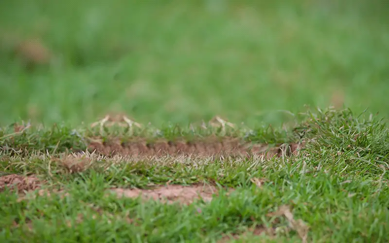 3D printed metal wysiwyg