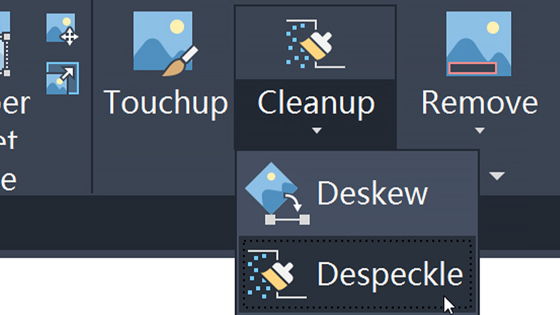 Screenshot of a software toolbar showing "Cleanup" options with dropdown menu for "Deskew" and "Despeckle" image editing tools.