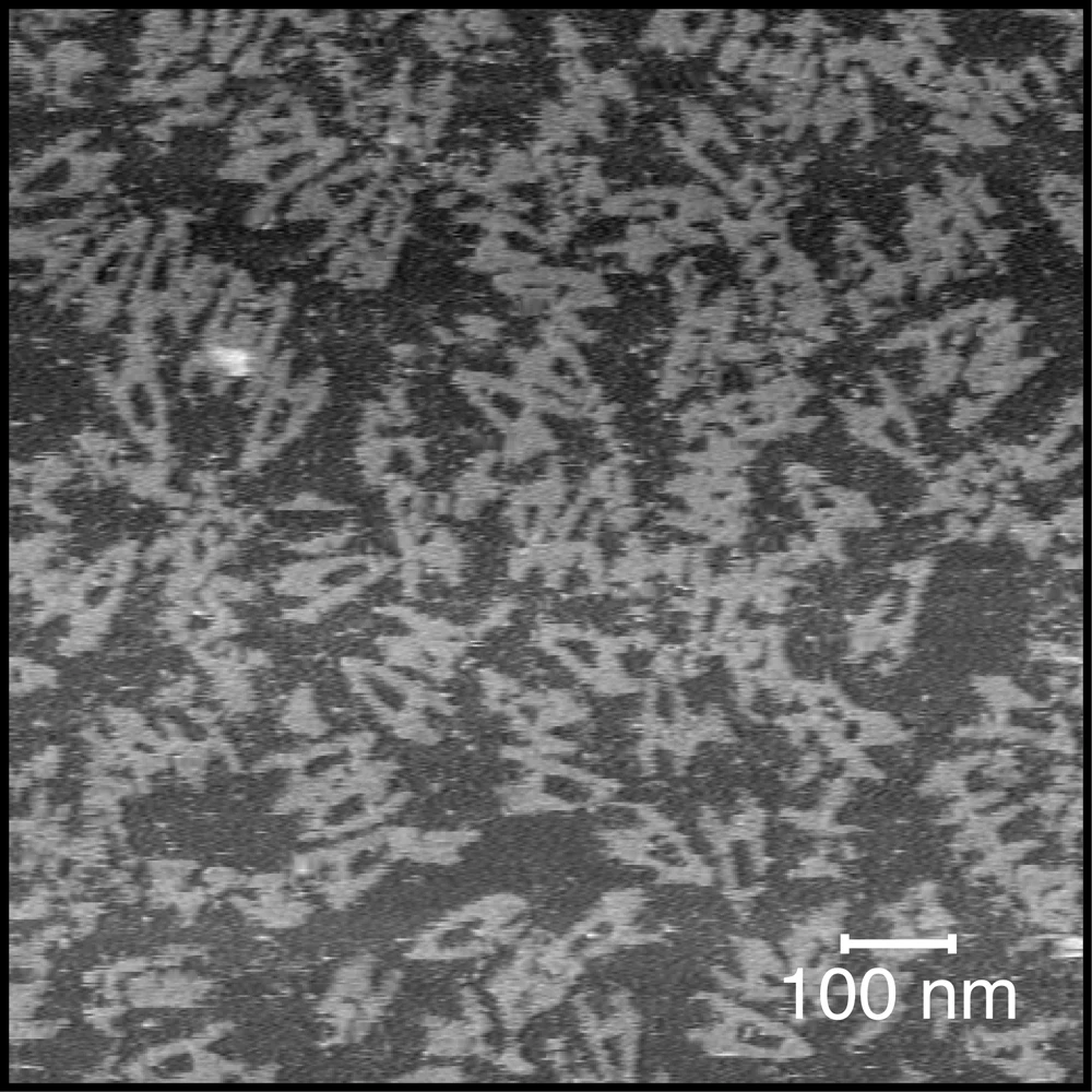 dna_origami_autodesk