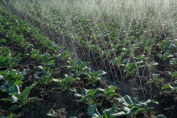 Yetagonにはスプリンクラーと点滴灌漑システム、太陽光駆動型給水ポンプ、センサー、農業用精密部品が含まれている