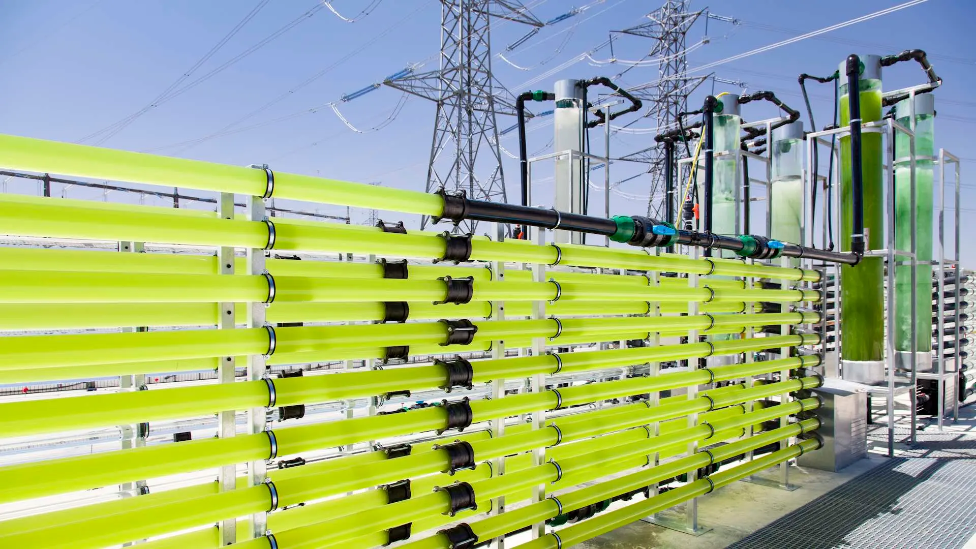 Tubular bioreactors filled with green algae fixing CO2