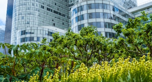 Image of greenery in front of a large building.