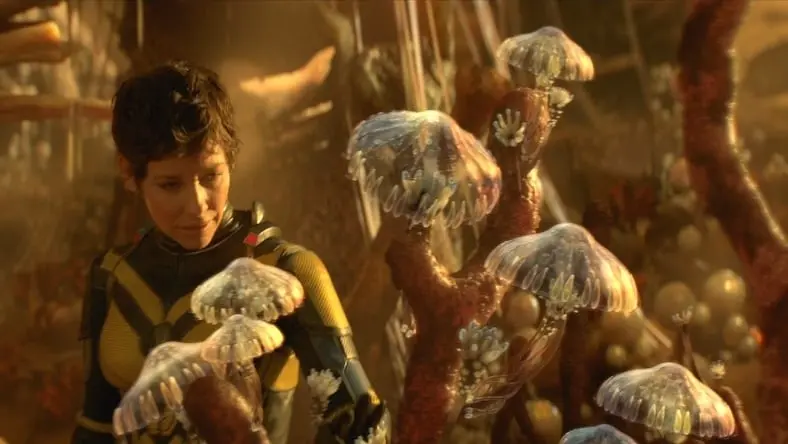 VFX Pixomondo still from the Fantastic Forest in Ant-Man and The Wasp: Quantumania