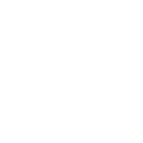 data icon