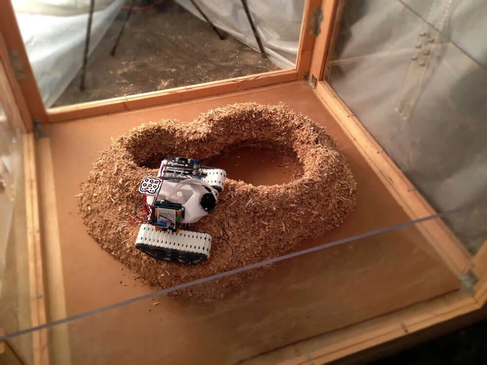  Swarmscapers robot 3d printer