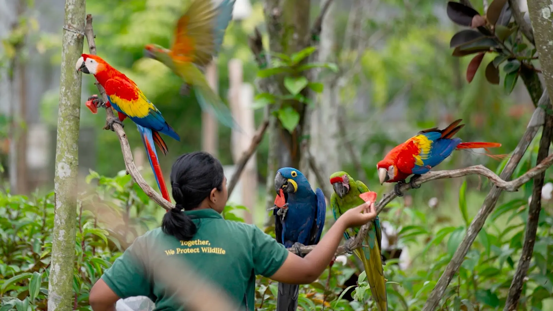 Bird Paradise Singapore