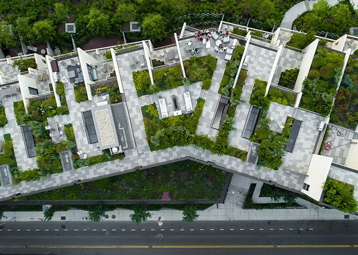 Trend Dachbegrünung