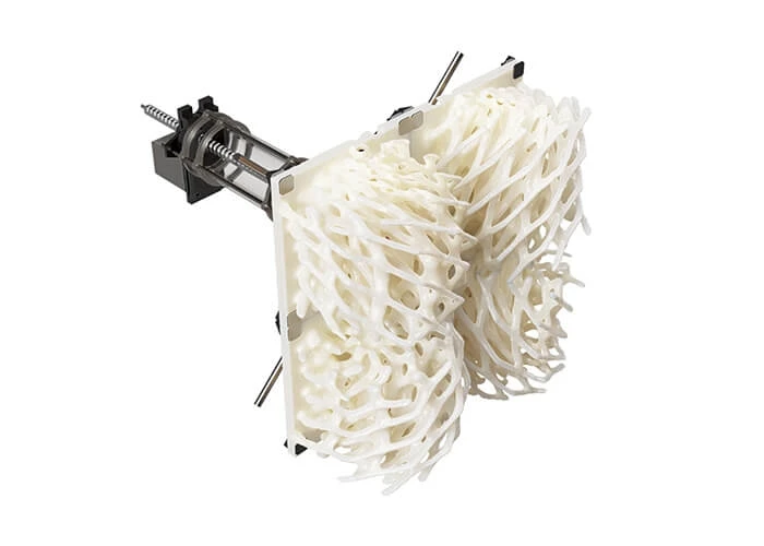 Another view of a vascular-inspired lattice cladding system