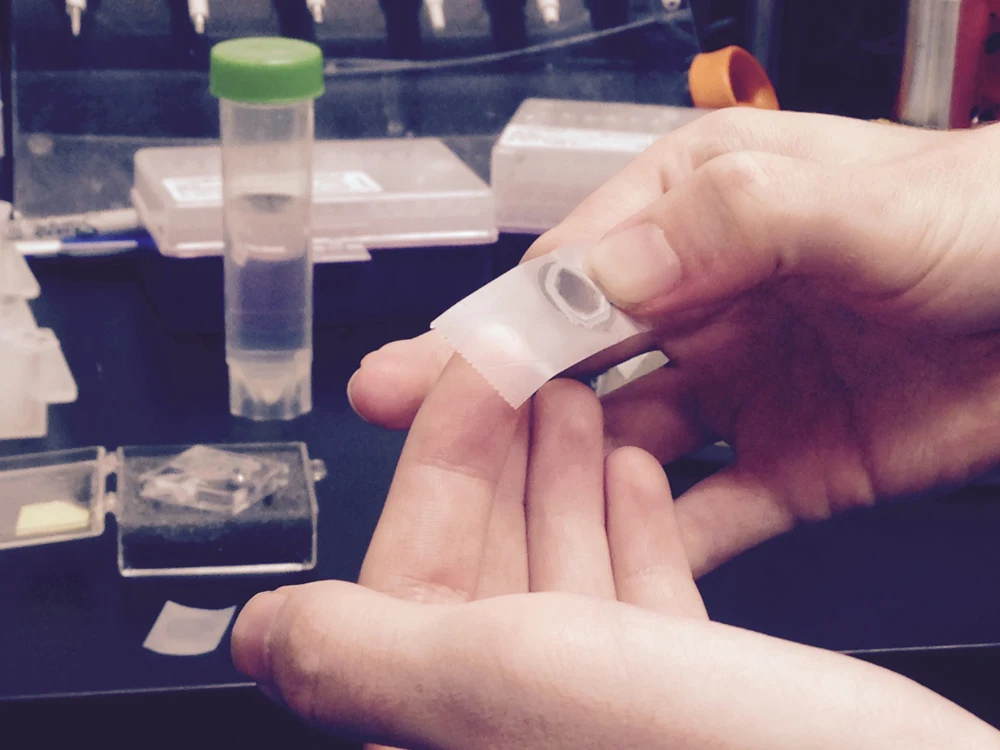 dna_origami_mica_surface