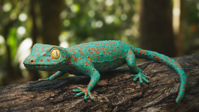 A 3D rendering of a gecko sitting on a branch has an out-of-focus background, demonstrating a depth-of-field effect.
