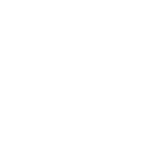 digital twin