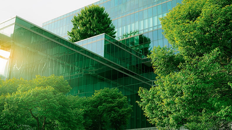 Green trees outside a modern office building with a glass exterior.