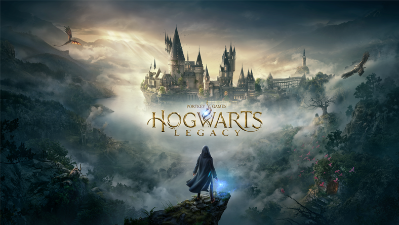 Still of wizard in front of Hogwarts castle from Hogwarts Legacy game