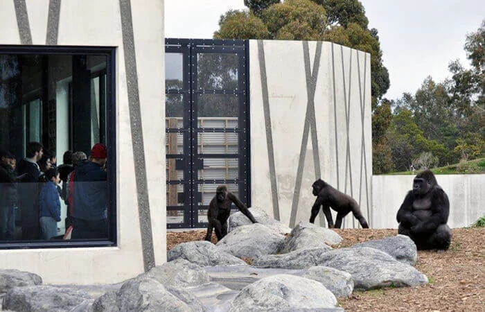 クライストチャーチのサステナブルなまちづくり計画 Orana Wildlife Park Great Ape Centre Christchurch