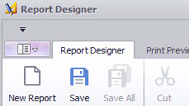 Screenshot of a Report Designer toolbar with options for New Report, Save, Save All, Print Preview, and Cut.