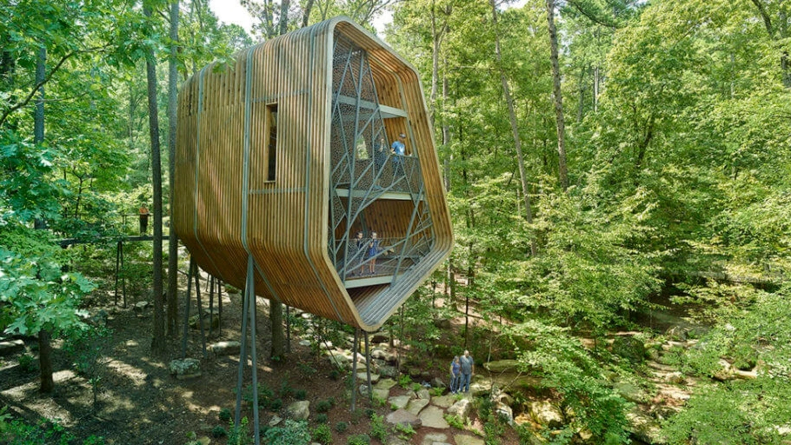 Tree-house architecture brings Modus Studio closer to nature