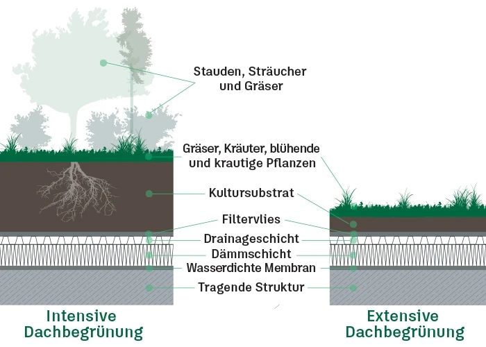 Trend Dachbegrünung