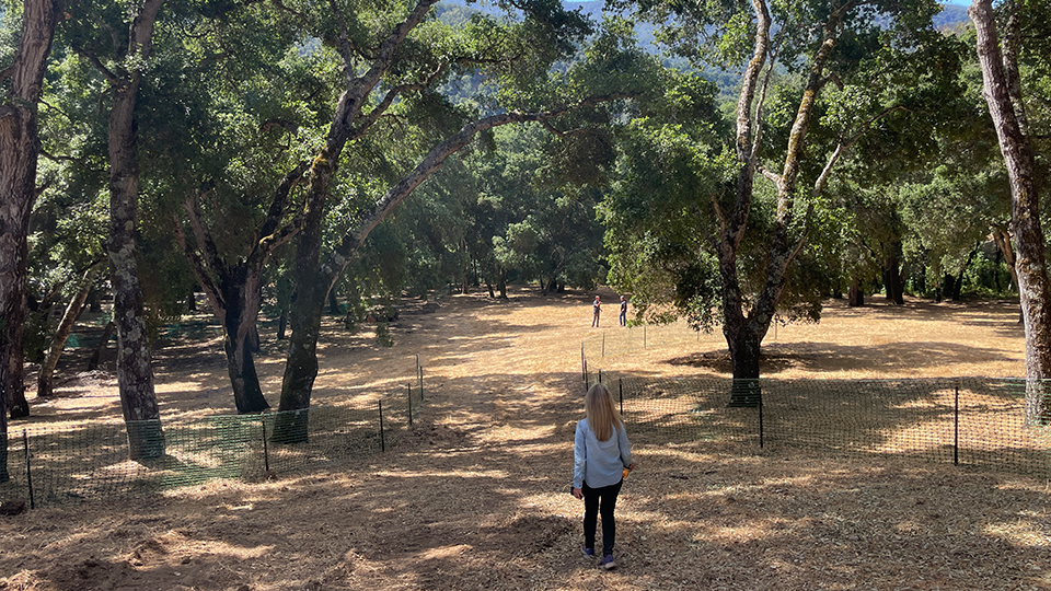 Santa Lucia Preserve site. Courtesy of Munden Fry Landscape Associates.