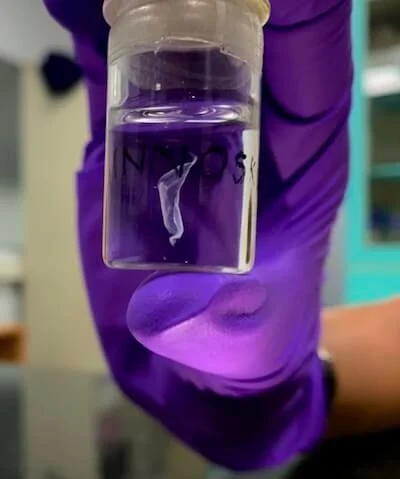 3d bioprinting skin innoskin