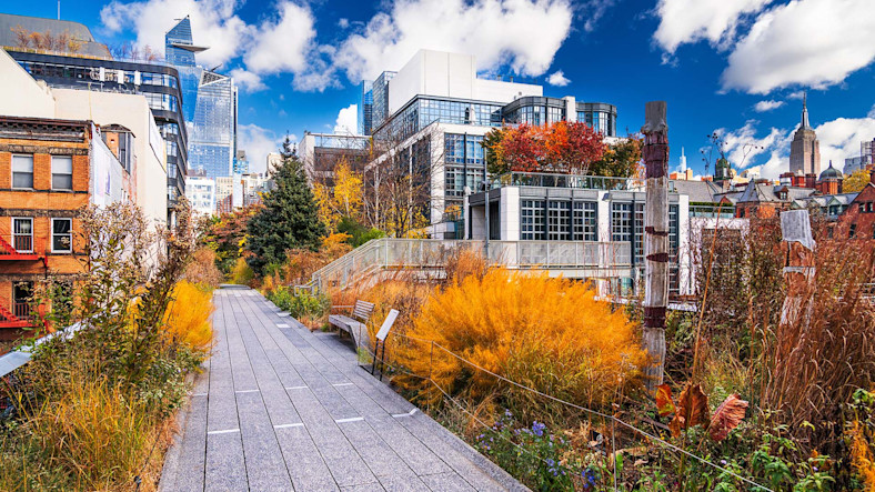 An elevated walkway winds through New York City in autumn.
