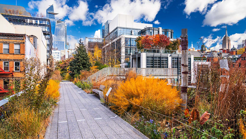 What is adaptive reuse? Repurposing buildings for a sustainable future An elevated walkway winds through New York City in autumn.