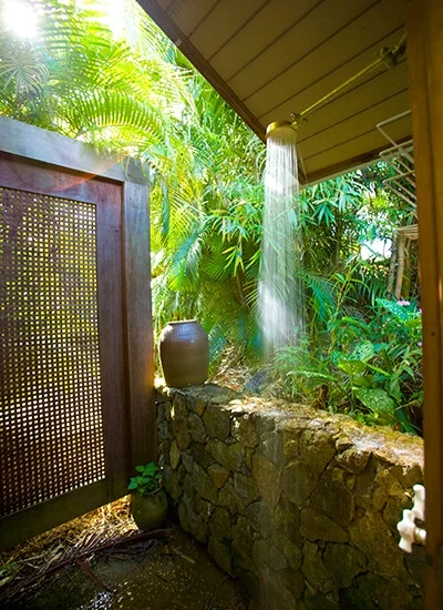 example of biophilic design