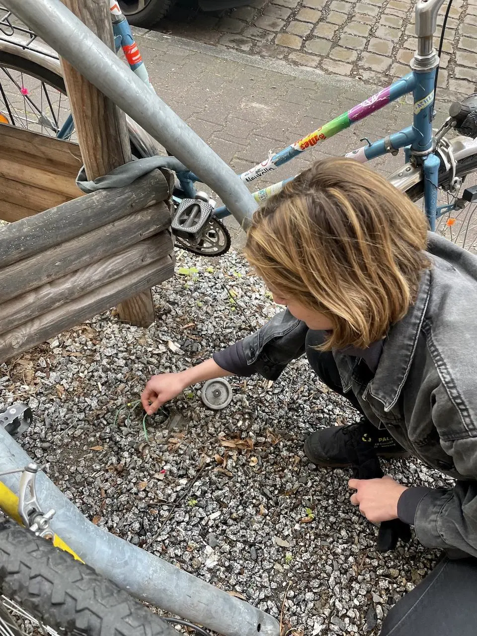 A woman embeds a moisture sensor in the ground under a tree.