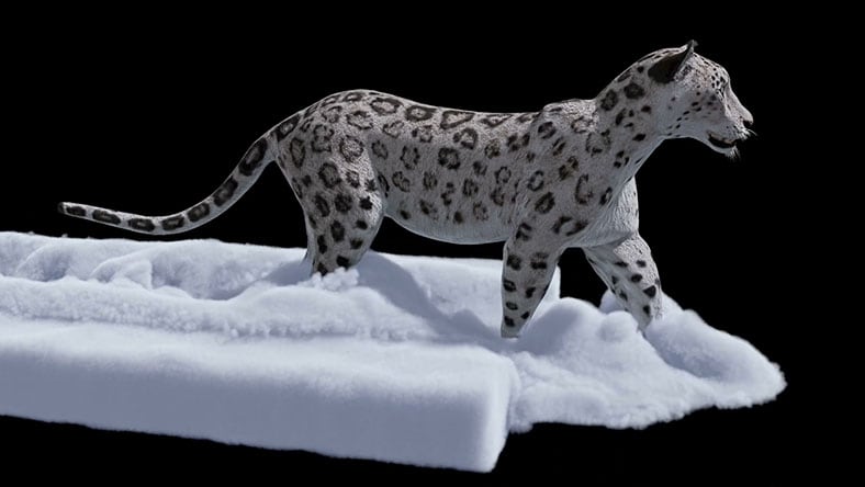 Add new capabilities