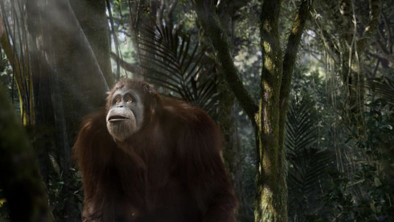 Rendering a lush forest habitat