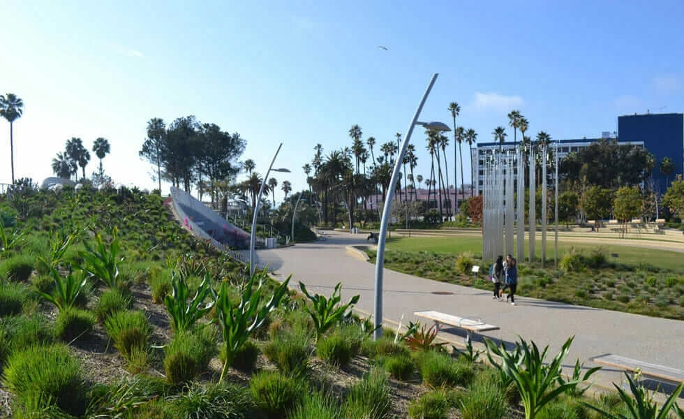 BIM Projektmanagement