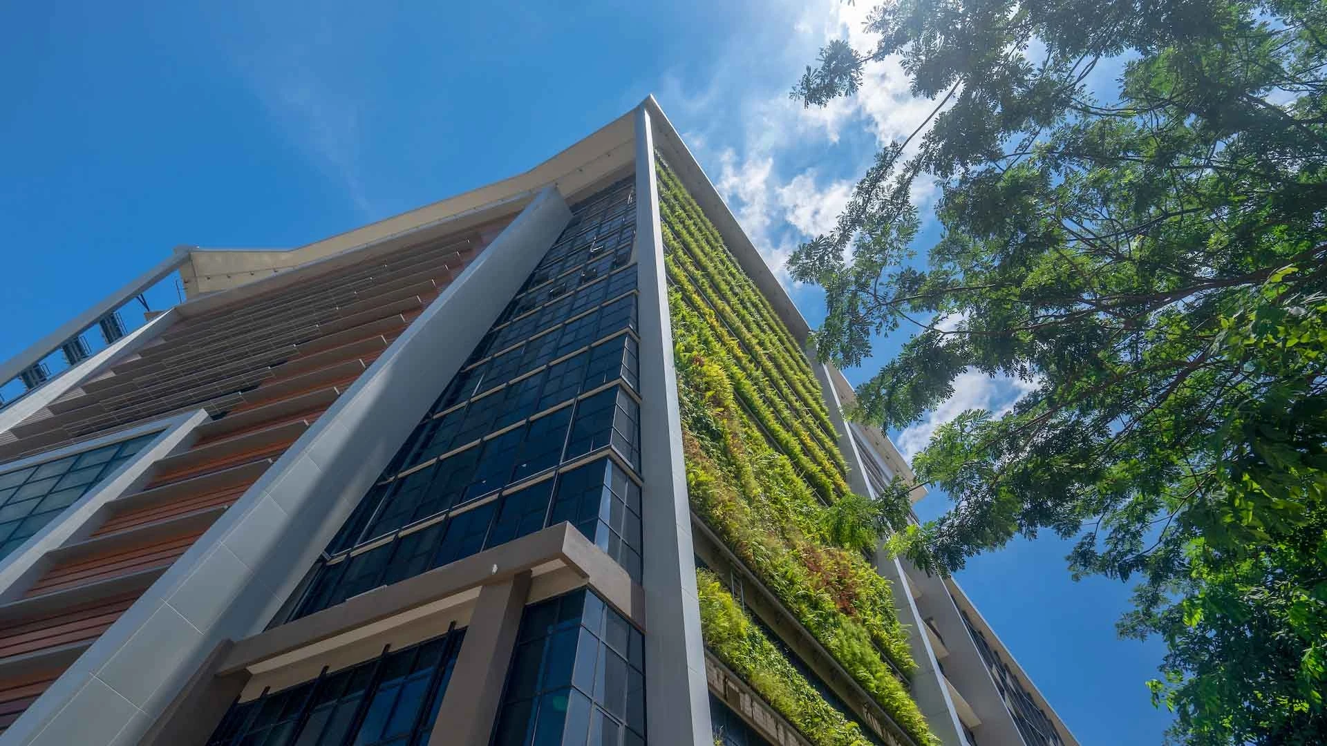 A sustainable building features an outer layer covered with plants.