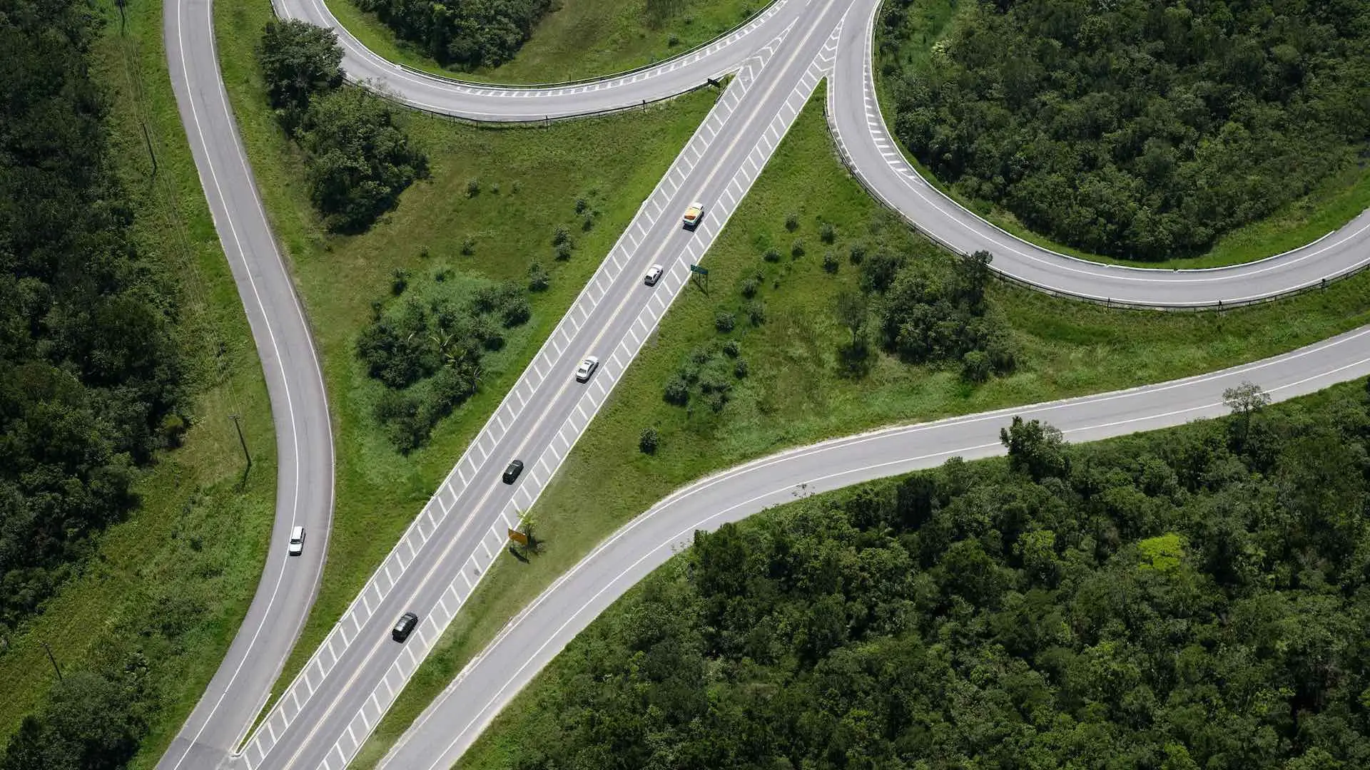 樹木は自然の炭素吸収材だ