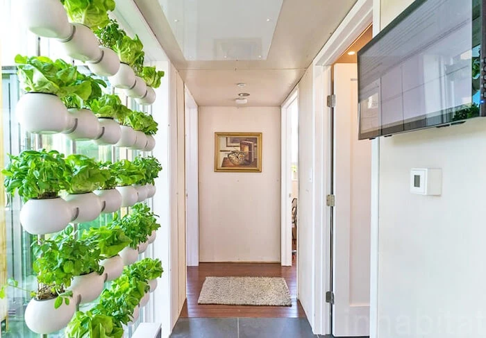 Der „Eco-Curtain“ von CREO wurde als Hydrokulturgarten im Rahmen des Projekts „reACT House“ an der University of Maryland installiert und beim Solar Decathlon der Universität mit einem Innovationspreis ausgezeichnet.