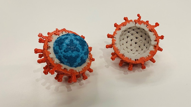 A computer rendering of a virus shows cutaway detail.