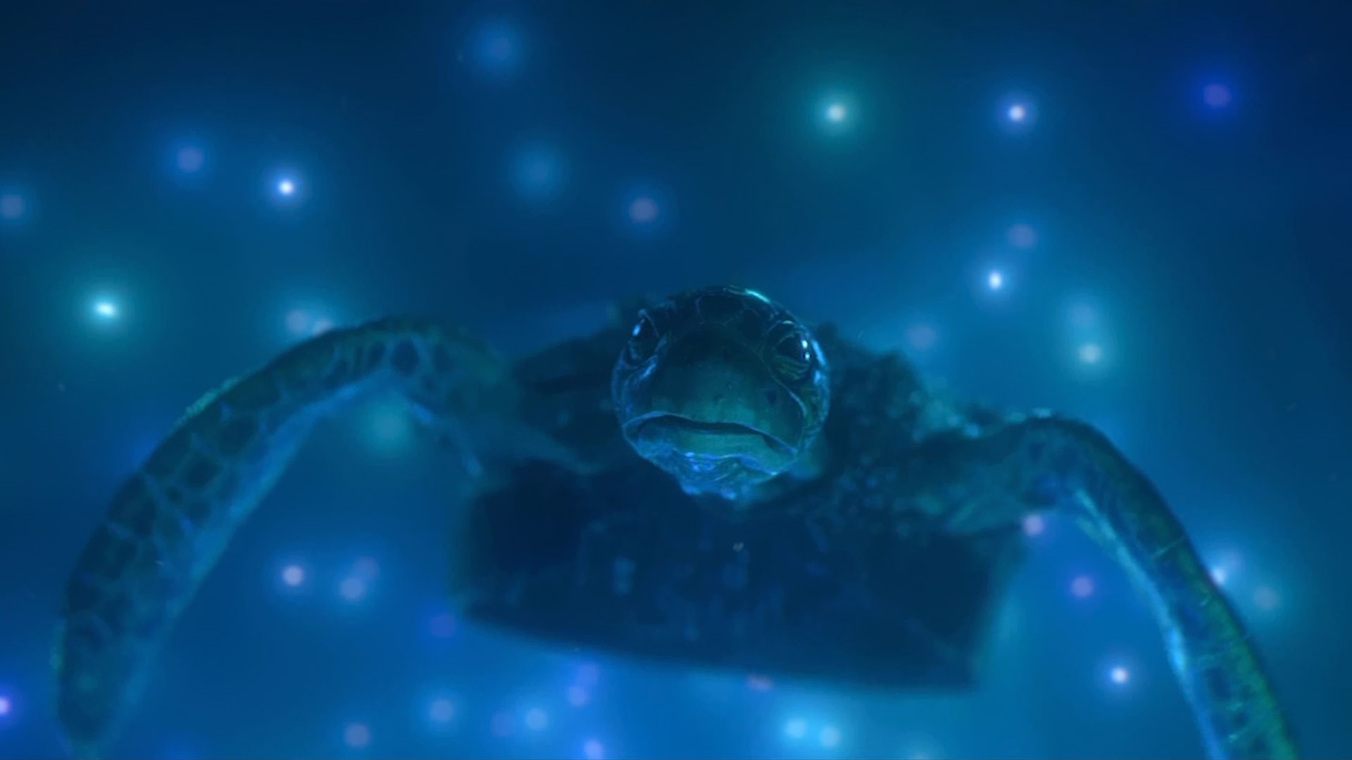 3d animated turtle