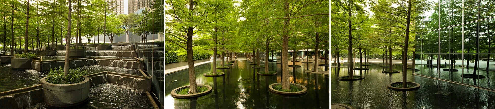 ダン・カイリー ファウンテン プレイス