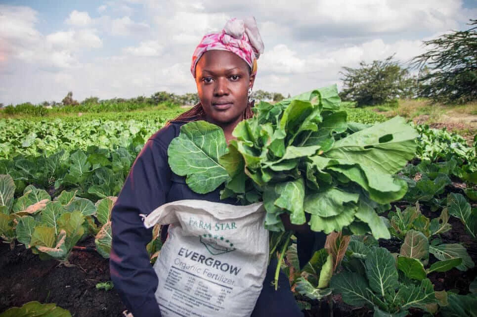 clean water in developing countries Sanergy Kenyan farmer Evergrow Organic Fertilizer