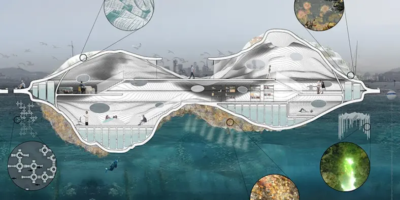Cross-section rendering of marine habitat Float Lab by CCA Architectural Ecologies Lab